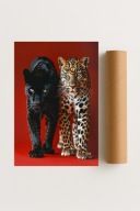 Plakat bez ramy 21x30 cm Dziki Piękno – energia natury i wolności