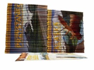 Przystanek Alaska PL polski LEKTOR cały SERIAL KOMPLET 110 odcinków 55 DVD