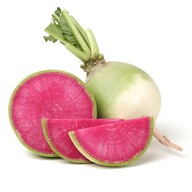 Rzodkiewka arbuzowa RAPHANUS SATIVUS nasiona 50szt ***