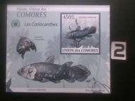 Ryby , Komory , MNH cięty