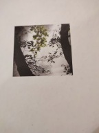 K= BRZEG=PRZECHADZKI PO BRZEGU=ALBUM=OPOWIEŚĆ=BARAN i PESZKO