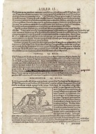 Cosmographiae, Münster, 1572, 1 karta, s. 343-344