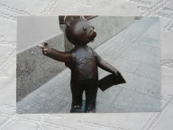 ŁÓDŻ MIŚ USZATEK