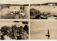 Pojez. Augustowskie. Jez. Studzieniczne. Jez. Białe. Przystań. Jez. Necko