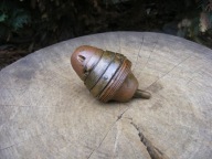 ZAPALNIK GÓRSKI AUSTRO-WĘGRY 7CM M99!