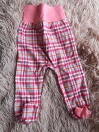 Półśpiochy pomarańczowe 62