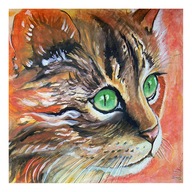 Obraz Awarela Rudy Kot