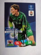 Karta panini autograf Shakhtar Andriy Pyatov Champions League 2013/14