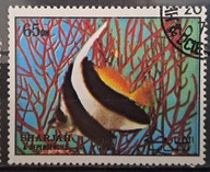 Ryby (**) - luzak - do uzupełnień 13/1