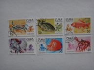 Kuba 1994, Ryby, kraby, fauna morska