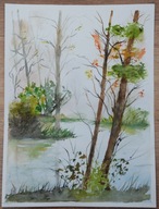 PEJZAŻ (63) dla 884 Skubalskich