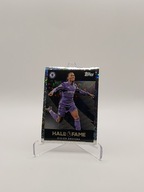 PREMIER LEAGUE TOPPS 2026 DIDIER DROGBA HALL OF FAME 15 NAKLEJKA