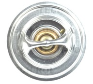 TERMOSTAT FORTERRA 125 12441 78005077 78.005.077