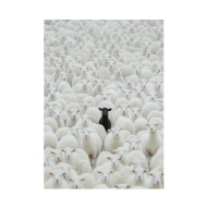 "Lead, Don’t Follow" – Minimalistyczny Plakat Motywacyjny