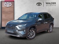 Toyota RAV4 2.5 Hybrid Executive 4x4 V (2018-) 2.5