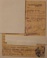 PRAWO JAZDY, URZĄD GMINY w Skierniewicach, 1981 rok