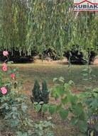 Działka, Piastów, Pruszkowski, 579 m²