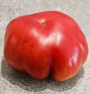 Pomidor 19 Wiek (284) nasiona kolekcjonerskie