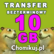 TRANSFER CHOMIKUJ 10 GB - BEZTERMINOWO