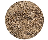 Szczeć Pospolita 1kg korzeń 100% POLSKIE GOPODARSTWO