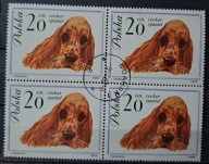 Polska Fi 1226 kas ( 1963 ) Rasy psów czwórka