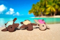 Żółwik brelok na szydełku