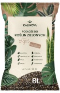 Ziemia Kwiatów Doniczkowych 8L Bigos Lekka Mieszanka PREMIUM