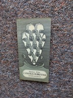 FILAR CZASZKA OLBRZYMA OPOWIADANIA NK/FANTASTYKA FANTASY SF SCIENCE FICTION