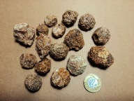 S Granat Grossular var. HESSONIT - Vápenná, Czechy - 1szt.