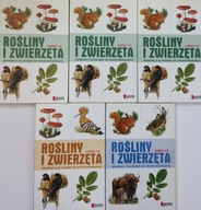 Rośliny i zwierzęta Książka z kluczem do rozpoznawania 1-5