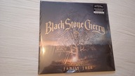 BLACK STONE CHERRY FAMILY TREE 2LP180G JAK NOWA !