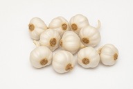 Czosnek polski Jarus jary od producenta 5 główek, bez chemii, naturalny