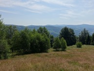 Działka, Brenna, Brenna, Cieszyński, 25399 m²