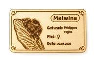 Grawerowana plakietka dla skakuna – tabliczka do terrarium