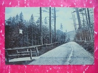 BIELSKO-BIAŁA BIELITZ BIELSKO LAS CYGAŃSKI DROGA NA LAS CYGAŃSKI 1907 RRRRR