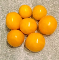 Pomidor Złoty Alatau/ ЗОЛОТОЙ АЛАТАУ (489) nasiona kolekcjonerskie