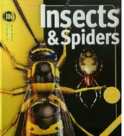Insects & Spiders / Rain Forests (Insiders, 2 Books in 1) JĘZYK ANGIELSKI