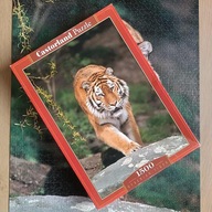 Puzzle Castorland 1500 - Siberian Tiger - kompletne