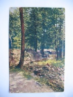 ZAGINIONY ŚWIAT LEŚNY MOSTEK WŚRÓD DRZEW przedwojenna POCZTÓWKA