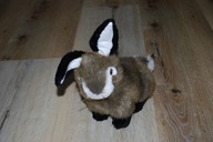 pluszak maskotka królik króliczek zając zajączek