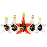 5x Butelki GWIAZDKA 200ml ZDOBIONA ŚWIĄTECZNA butelki na święta nalewki