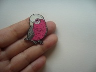 PIN PRZYPINKA BROSZKA PAPUGA