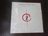 Andreas Vollenweider-Dancing With The Lion Super