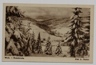 Wisła Dziechcianka ok.1950r. 922H