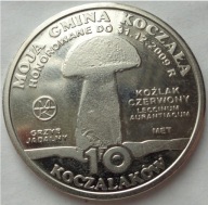 KOCZAŁA - 10 KOCZALAKÓW 2009 KOŹLAK CZERWONY / nakład 30 sztuk