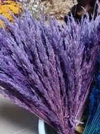 Trawa leśna naturalna kłosy susz krajowy kolory ciemny fiolet do palm