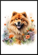 A2 PLAKAT PIES W KWIATACH RASA CHOW CHOW