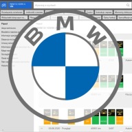 BMW VIN Historia Serwisowa Naprawy Przebiegi Raport Ekspresowy ASO PDF 7/7