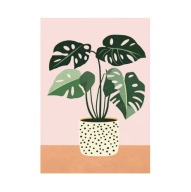 Plakat „Monstera Pot” – Nowoczesny Plakat Botaniczny