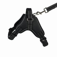 Szelki dla jamnika bezuciskowe ortopedyczne odblaskowe XS S M L XL XXL